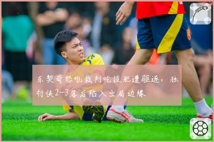 东契奇怒吼裁判吃技犯遭驱逐，独行侠2-3落后陷入出局边缘