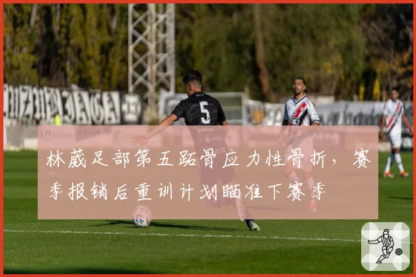 林葳足部第五跖骨应力性骨折，赛季报销后重训计划瞄准下赛季